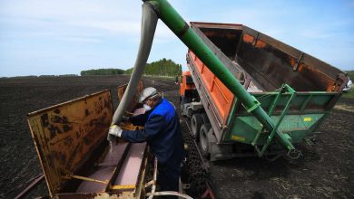 Фото - В МИД России сообщили, что около 8 млн тонн российских удобрений остаются заблокированными