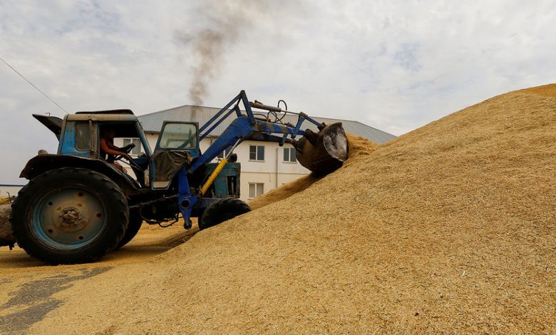 Фото - Al Ahram: решение России по зерновой сделке не отразится на рынке Египта