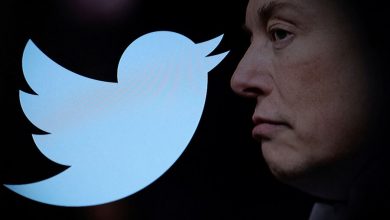 Фото - Bloomberg: Илон Маск будет занимать пост гендиректора Twitter временно